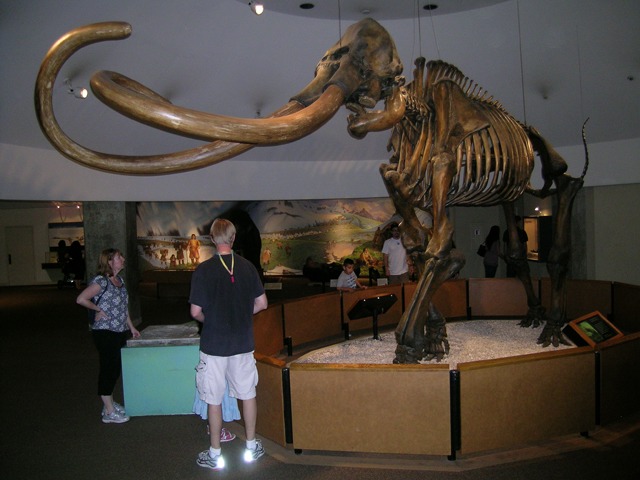 bones