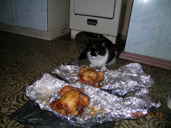Two chickens