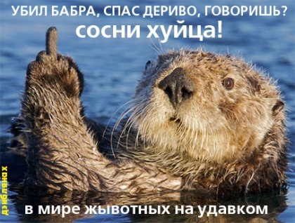 бобрятина