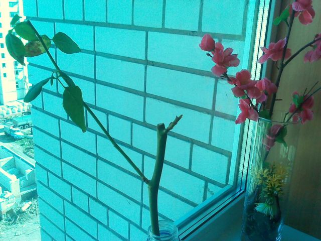 011