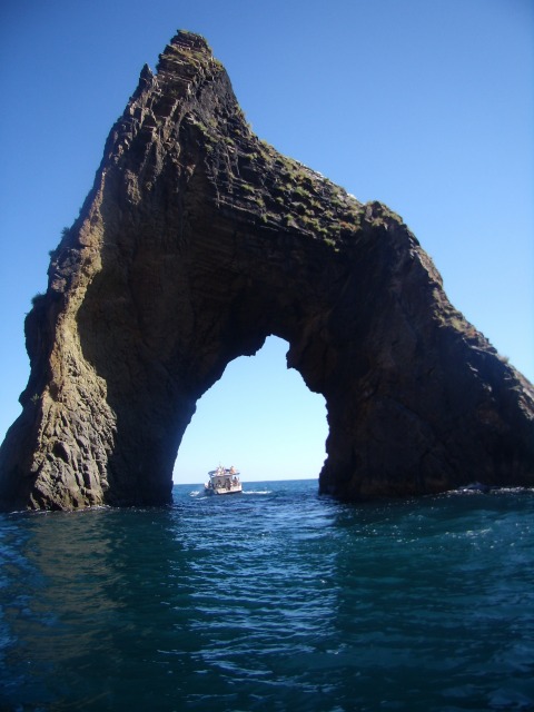 P9030699