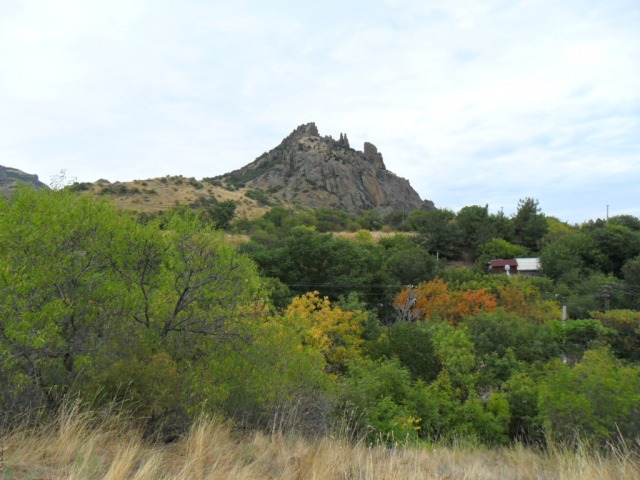 SAM_0957