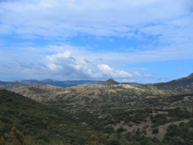SAM_0968