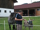 Img (48)
