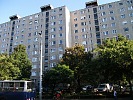 Img (10)