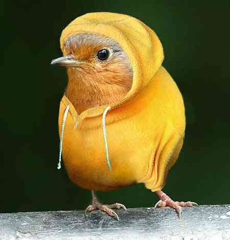 ivanov-petrov-sidorov