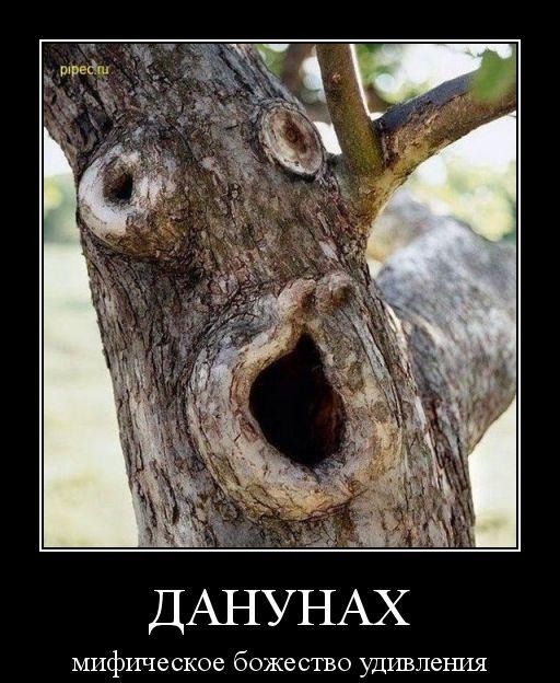 Паря