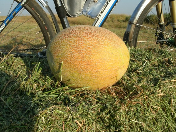 060