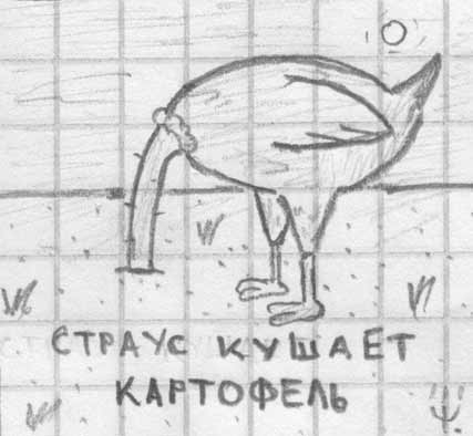 павлег