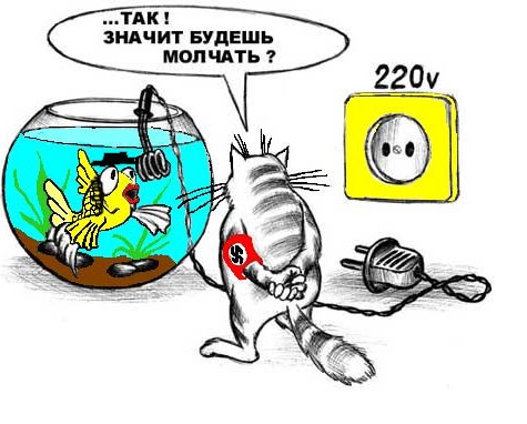 ZloyKot