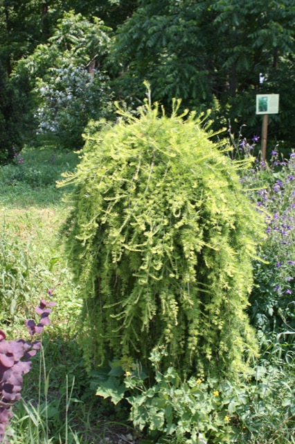 025