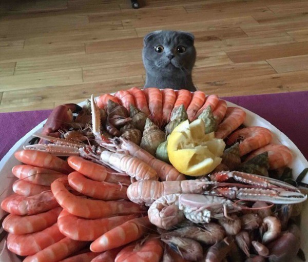 саян