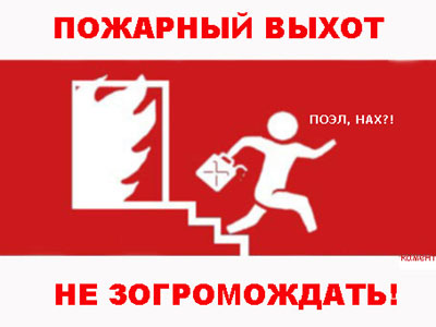 низ