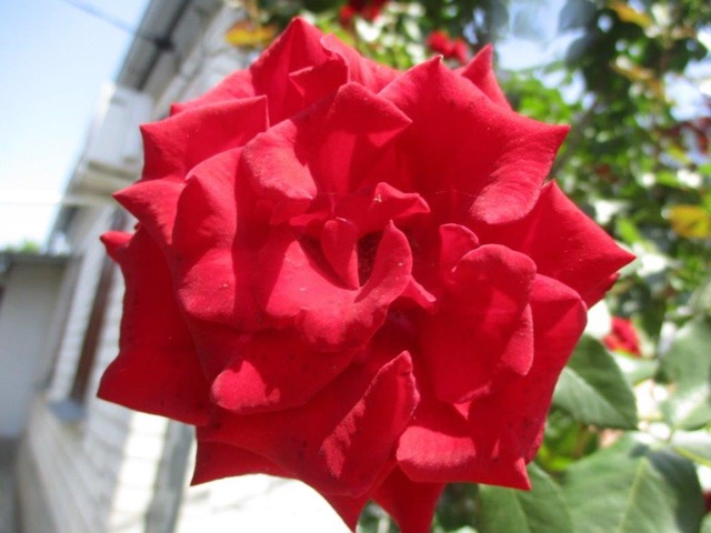 002