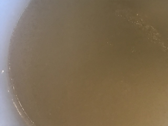 009