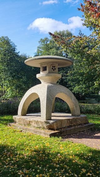 29
