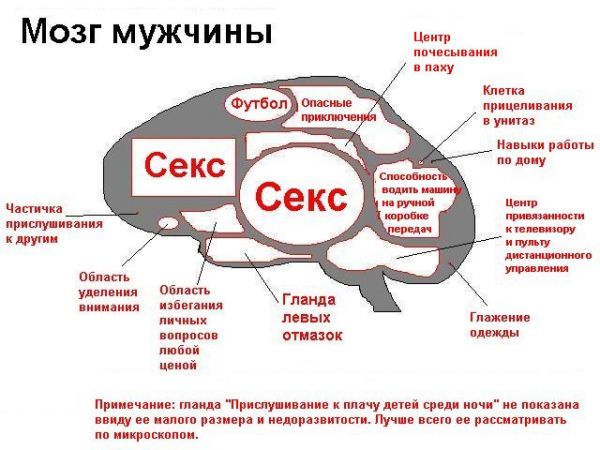 МСЗ