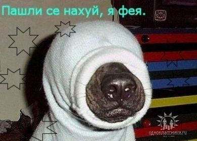 Брюнетко
