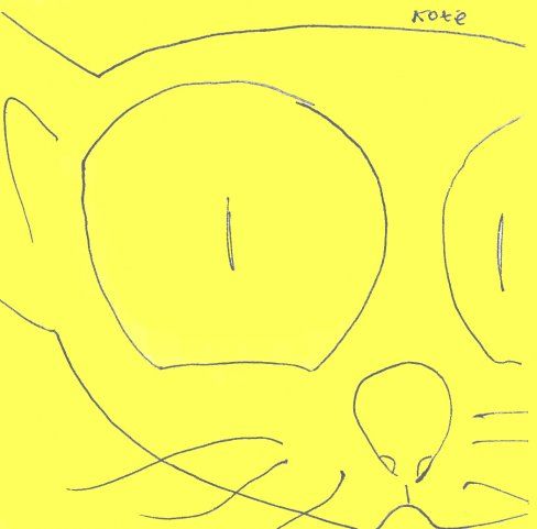 Kote