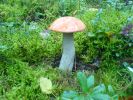 DSC00068