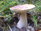DSC00086