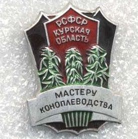 команданте янкам-в-дудль