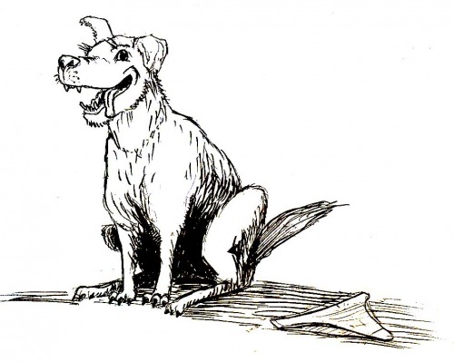 9