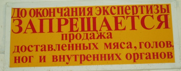 P1010056