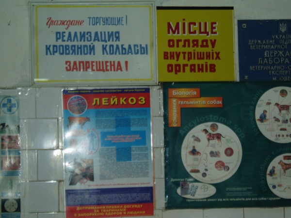 P1010059