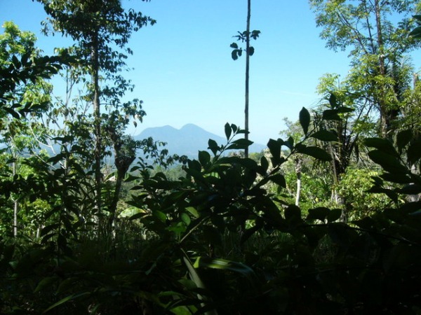 19_resize