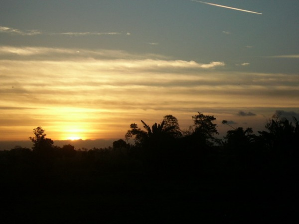 28_resize