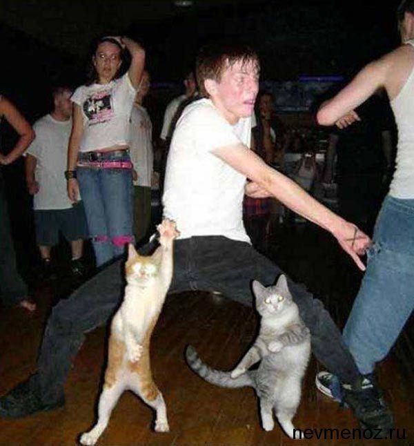 Котофей